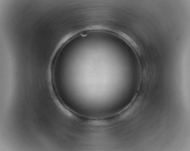 X0000115260998200911061235