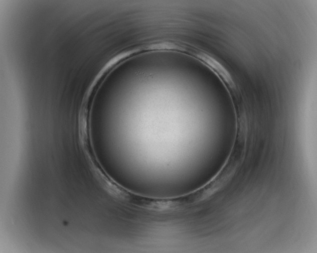 X0000115261000200911061235