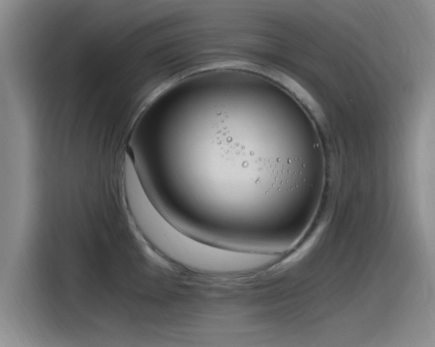 X0000115261001200911061235