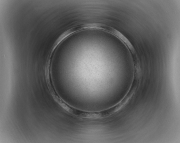 X0000115261002200911061235