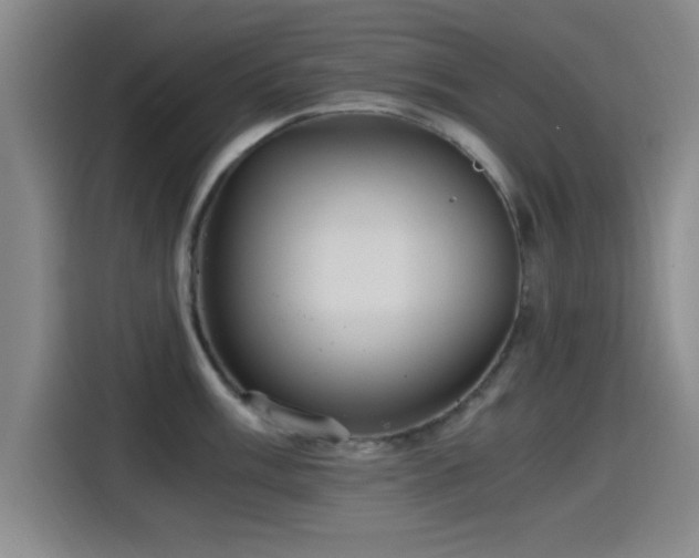 X0000115261003200911061235