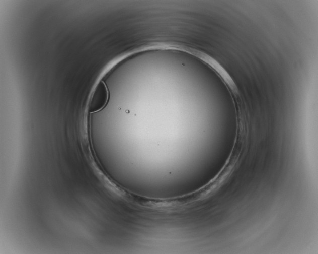 X0000115261004200911061235