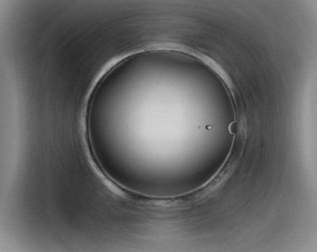 X0000115261005200911061235