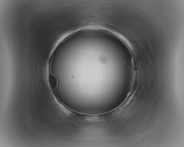 X0000115261006200911061235