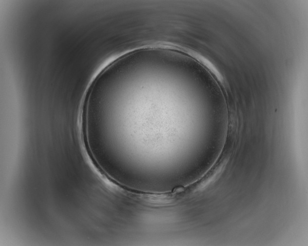 X0000115261007200911061235