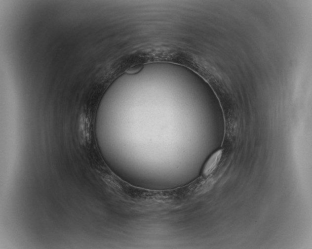 X0000115261010200911061234