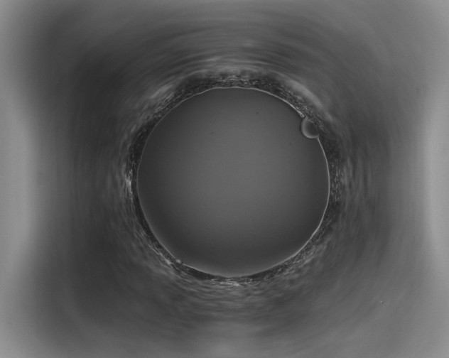 X0000115261013200911061234