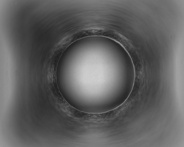 X0000115261014200911061234