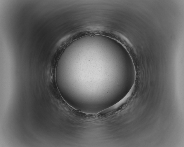 X0000115261016200911061234
