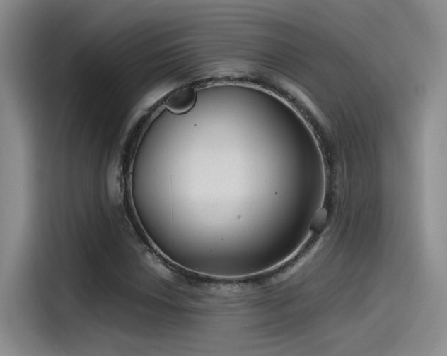 X0000115261018200911061234