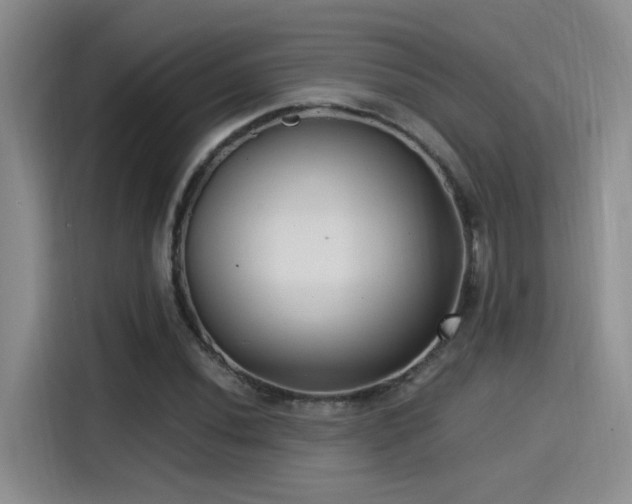 X0000115261020200911061234