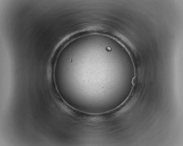 X0000115261021200911061234