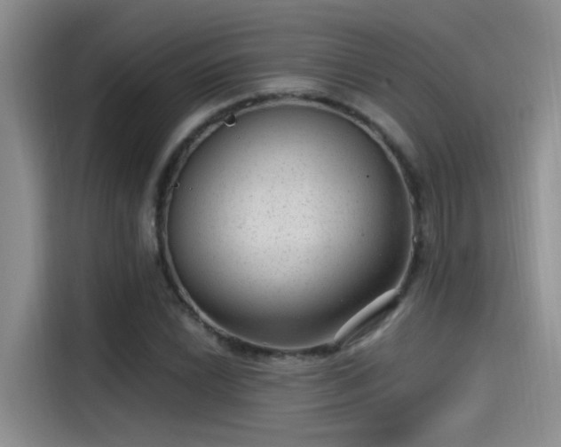 X0000115261022200911061234