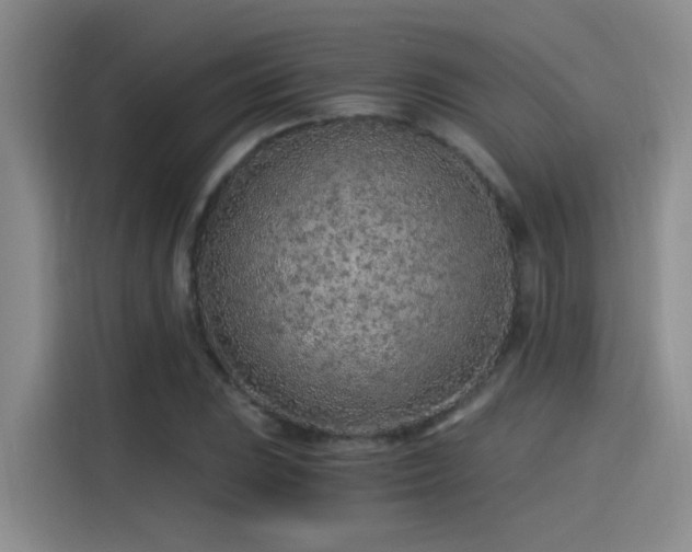 X0000115261023200911061234