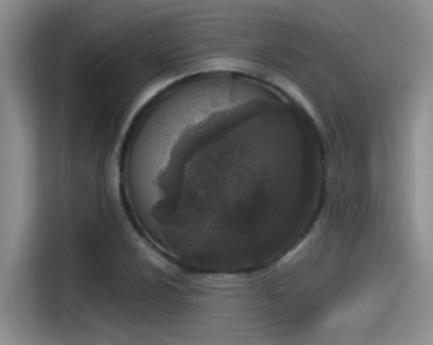 X0000115261024200911061234