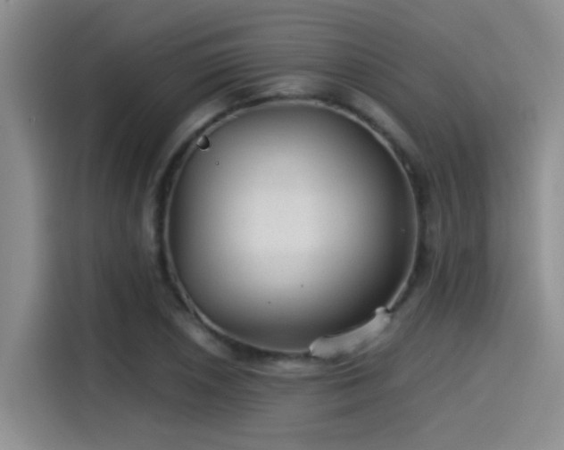 X0000115261026200911061234