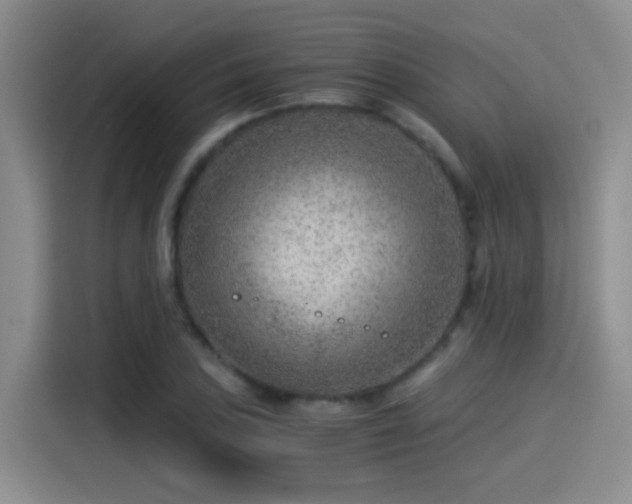 X0000115261027200911061235