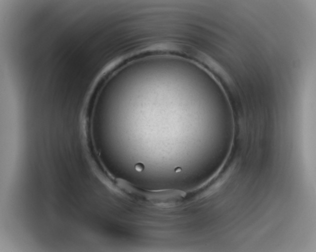 X0000115261029200911061235