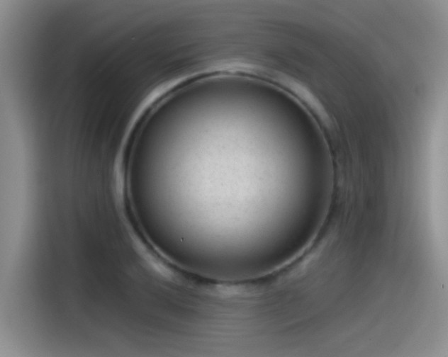 X0000115261032200911061235
