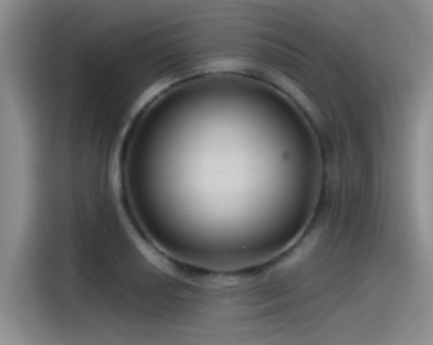 X0000115261034200911061235