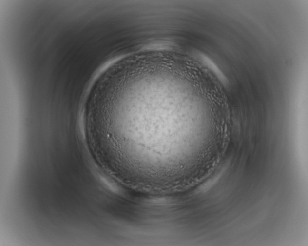 X0000115261035200911061235