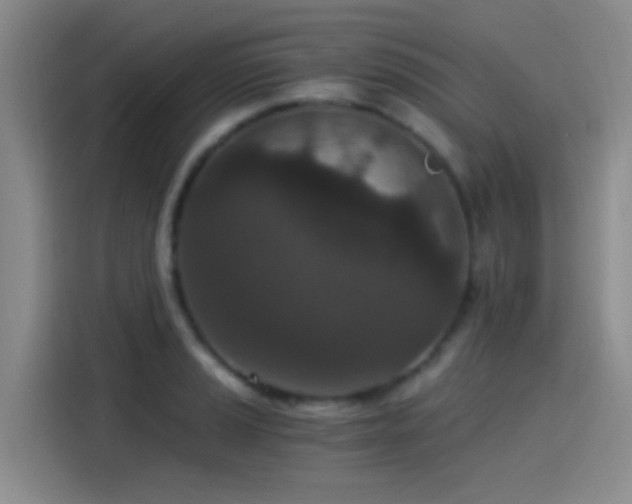 X0000115261037200911061235