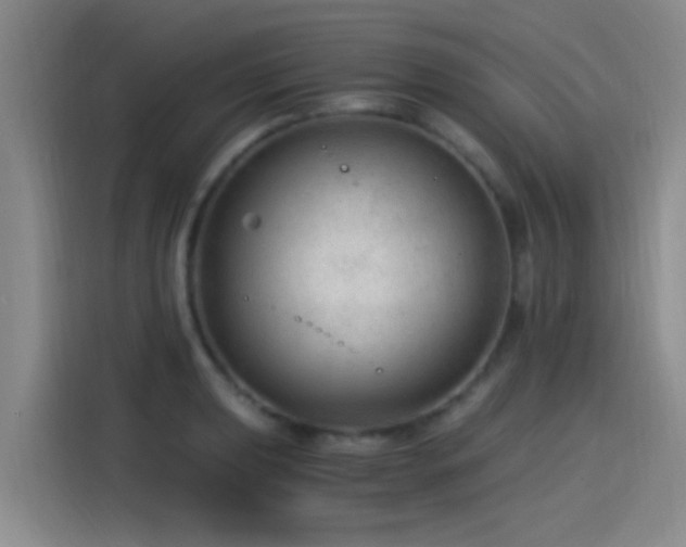 X0000115261039200911061235