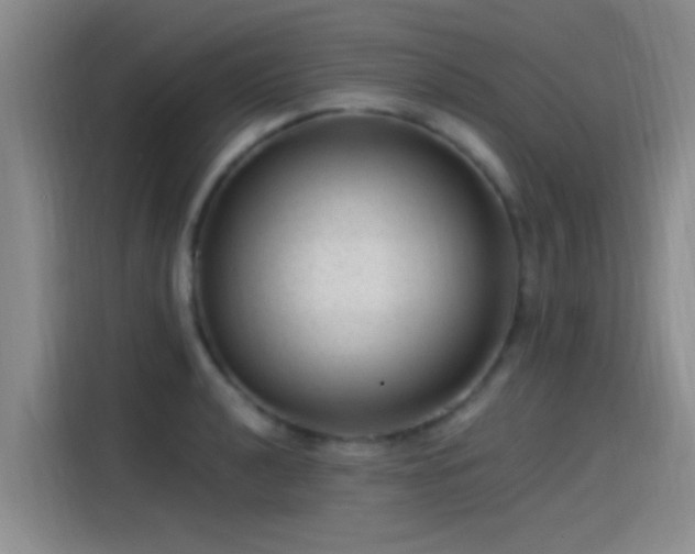 X0000115261040200911061235
