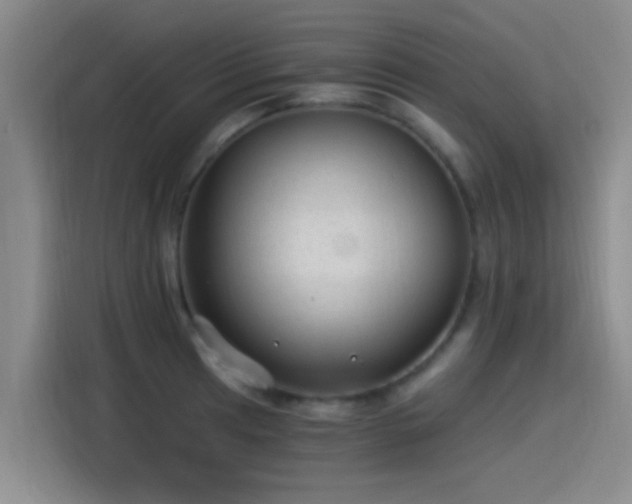 X0000115261041200911061235