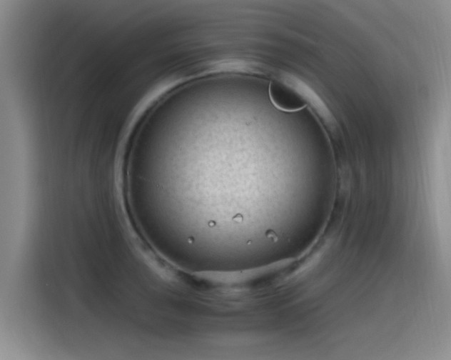 X0000115261043200911061235