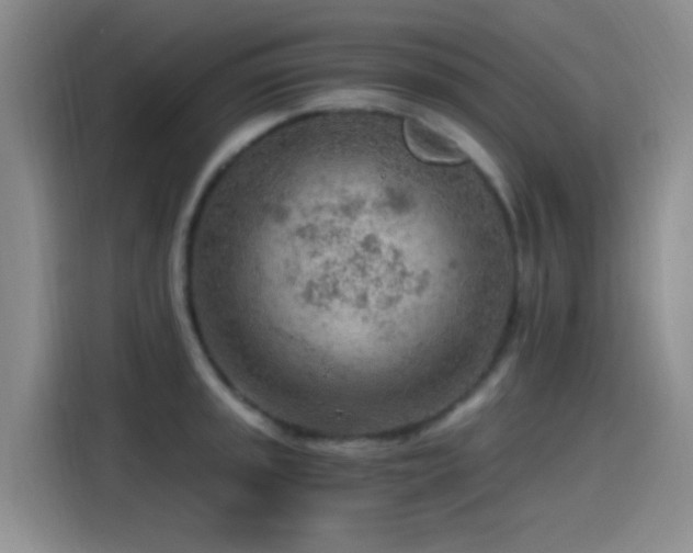 X0000115261045200911061235