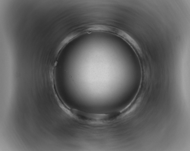 X0000115261049200911061235