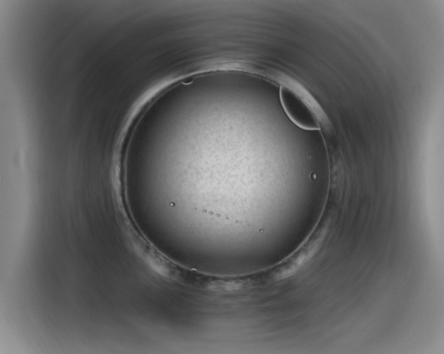 X0000115261051200911061235