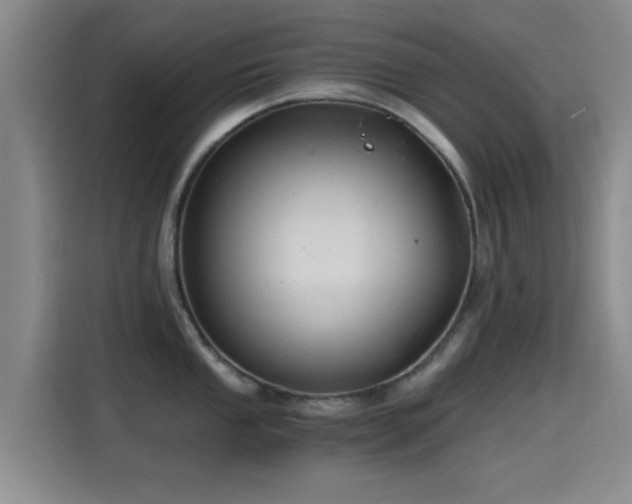 X0000115261053200911061235