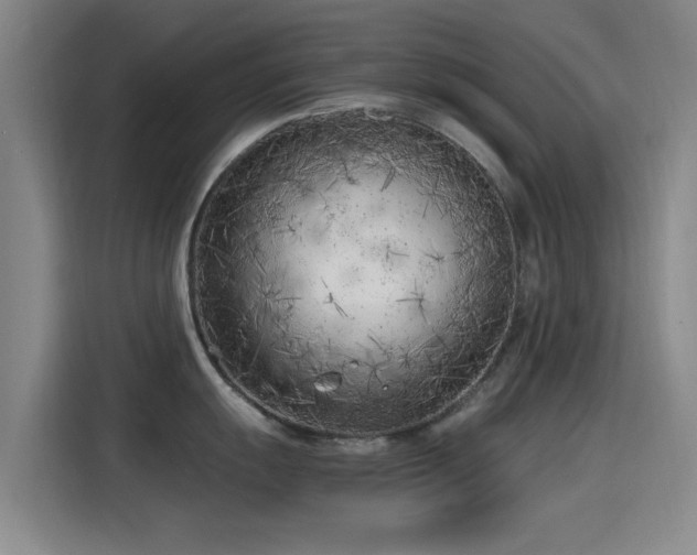 X0000115261055200911061235