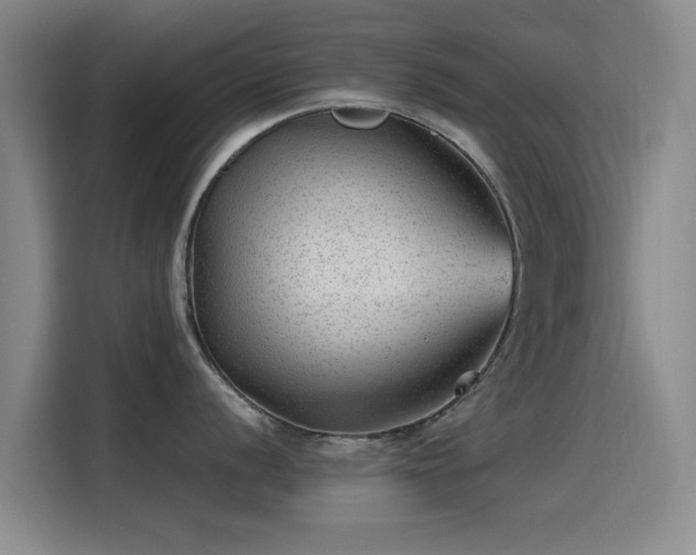 X0000115261056200911061235