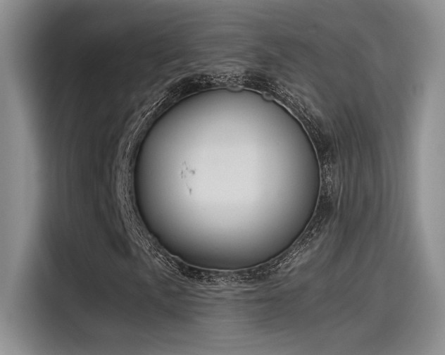 X0000115261057200911061234