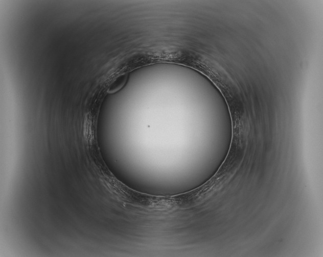 X0000115261058200911061234