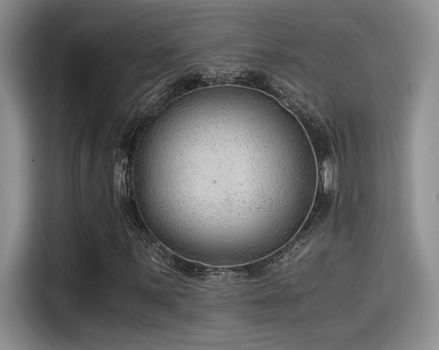 X0000115261059200911061234