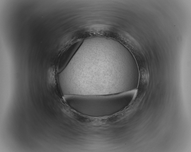 X0000115261060200911061234
