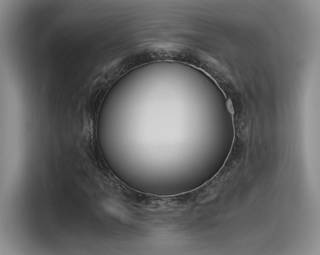 X0000115261061200911061234