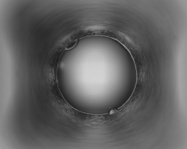 X0000115261062200911061234