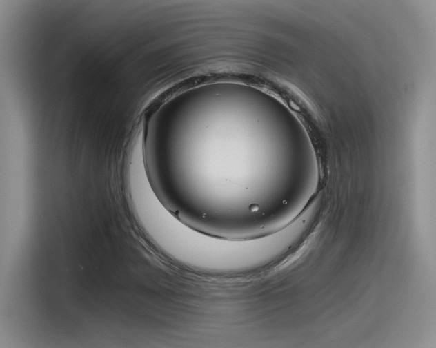 X0000115261065200911061234