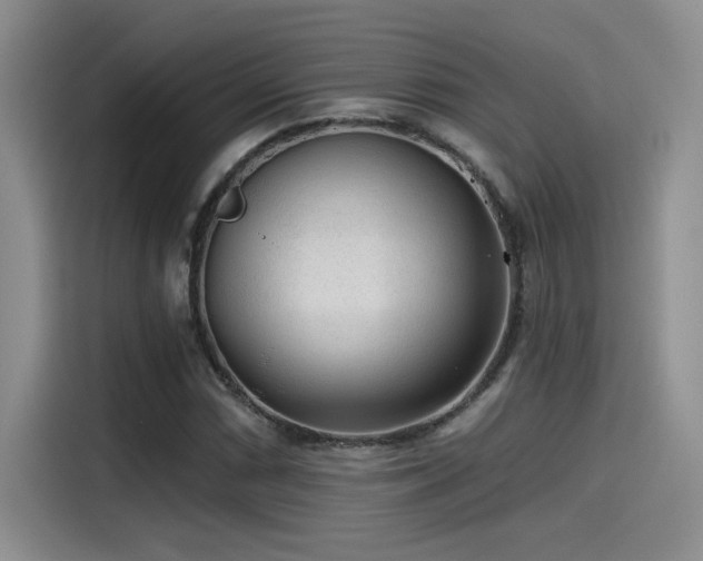 X0000115261066200911061234