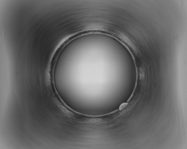 X0000115261068200911061234