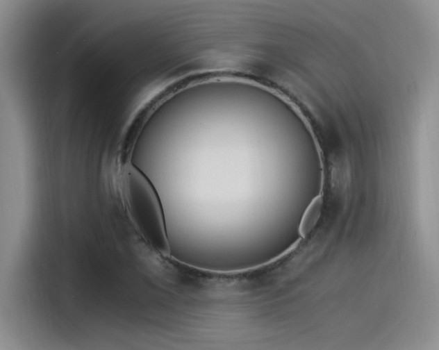 X0000115261069200911061234