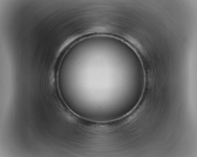 X0000115261070200911061234