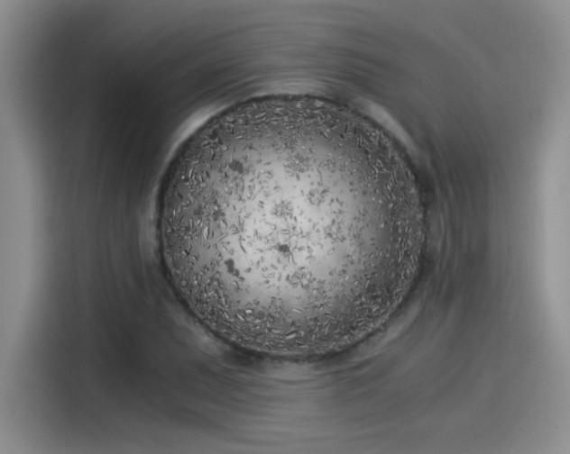 X0000115261071200911061234