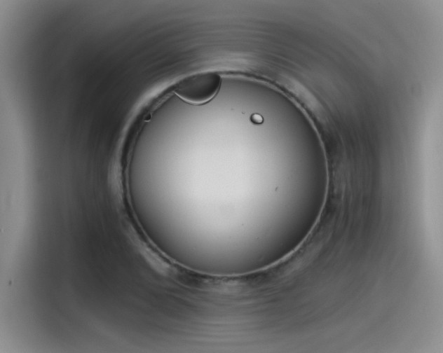 X0000115261072200911061234
