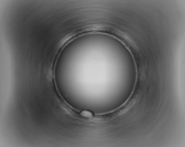 X0000115261073200911061234
